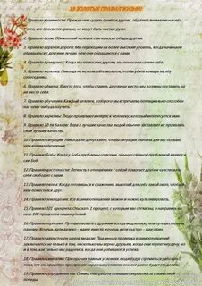 Ежедневные правила жизни