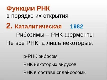Каталитическая рнк
