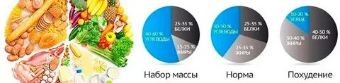 Питание 40 30 30