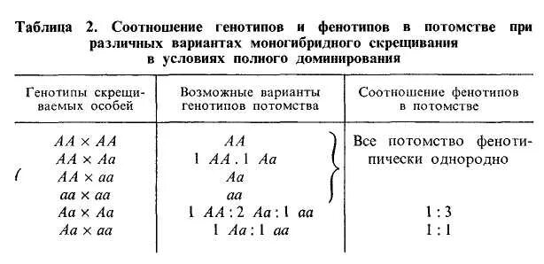 Как определить соотношение генотипов и фенотипов у потомства. Как определять соотношения генотипов и фенотипов. Соотношение генотипов в потомстве. Соотношения фенотипов и генотипов таблица.