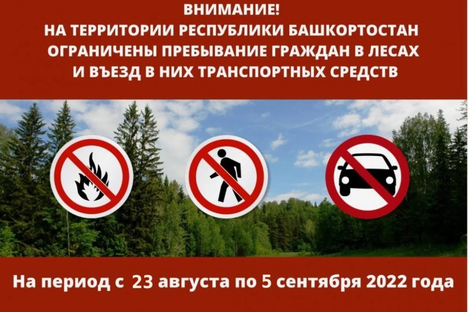 Можно ли посещать леса. Ограничено пребывание граждан в лесах. Запрещено прибывание в лесу. Запрет на пребывание граждан в лесах. Ограничение посещения лесов.