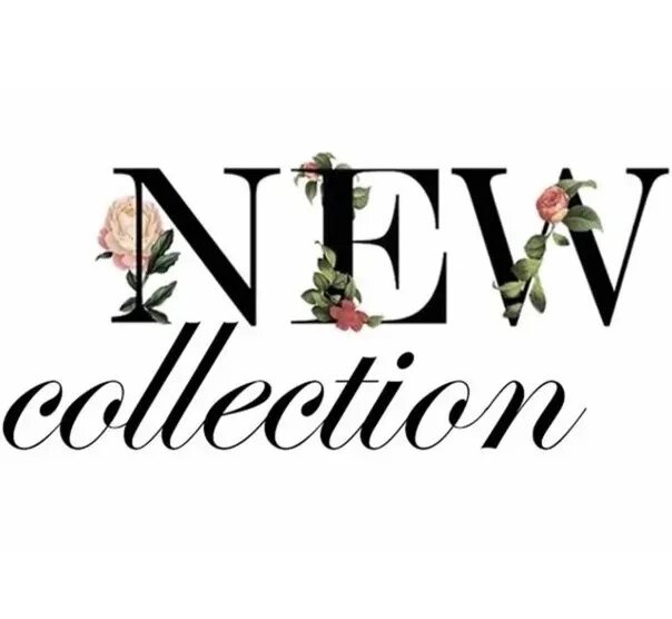 Now collection. New collection надпись. Надпись осенняя коллекция одежды. Летняя коллекция надпись. Новая коллекция красивая надпись.