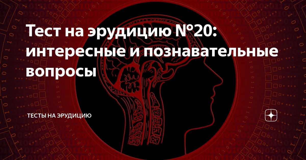 Новые тесты на эрудицию. Интересные вопросы на эрудицию. Тесты на эрудицию и знания с ответами.