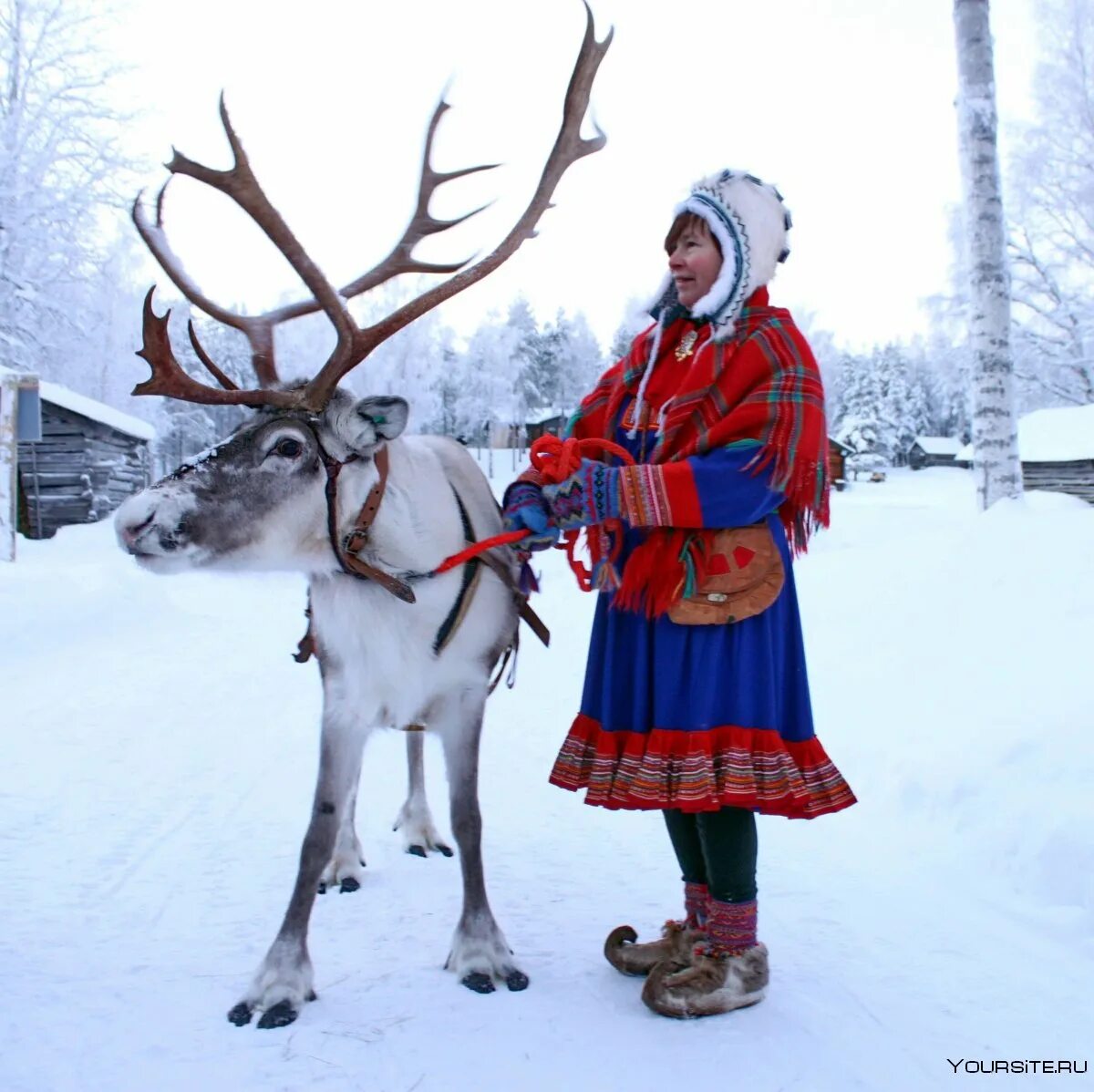 Саамы лопари. Саамы лопари. Саамы лопари. Кольский полуостров саамская деревня. Саамы лопари.