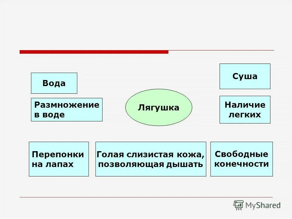 Наличие воды для размножения