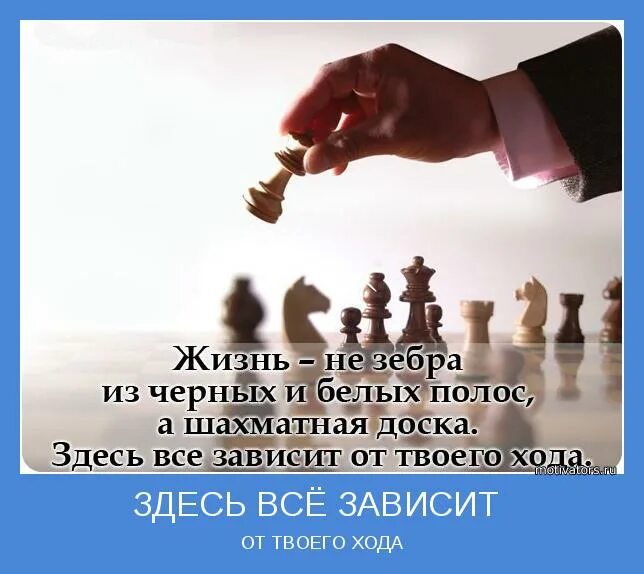 Будет зависеть от твоего. Жизнь шахматная доска все зависит от твоего хода. Жизнь это не Зебра а шахматная доска здесь все зависит от твоего хода. Жизнь это шахматная доска все зависит от твоего хода цитаты. Жизнь не Зебра из черных и белых полос а шахматная доска здесь.