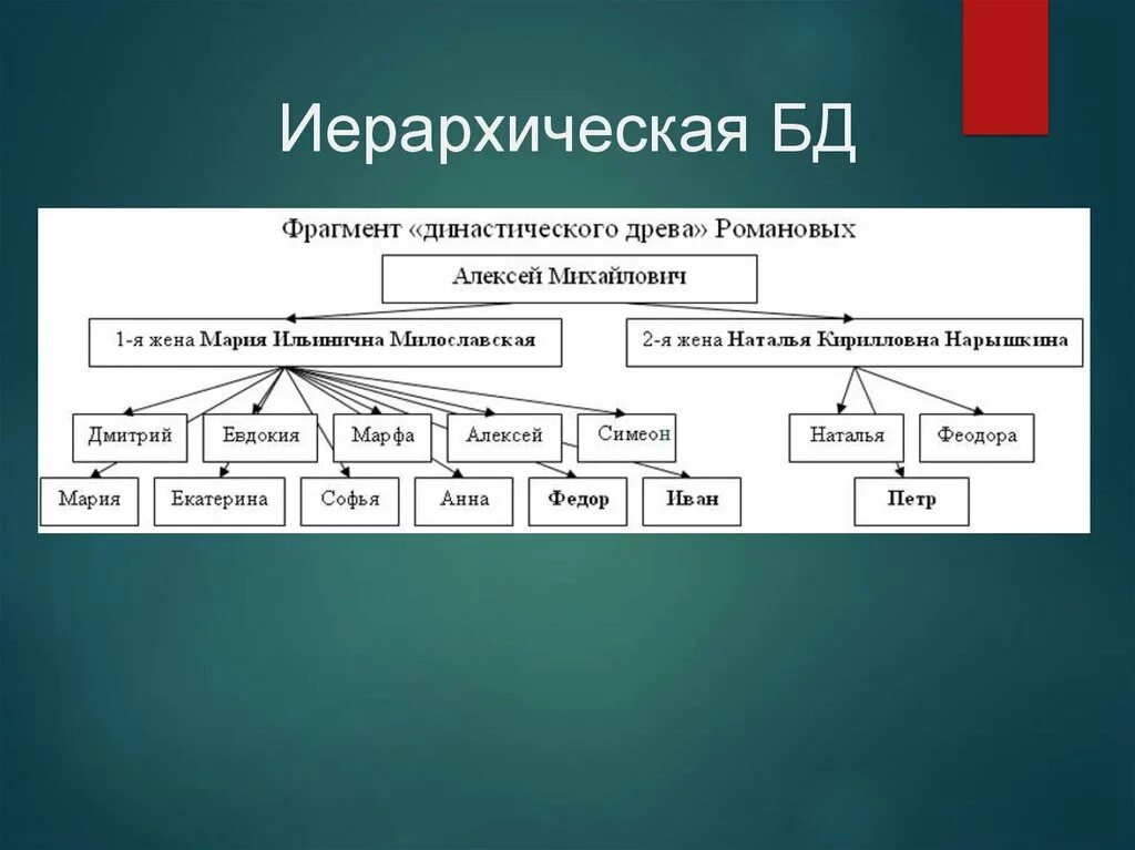 Модель иерархической структуры. Иерархическая база данных. Иерархическая модель базы данных. Иерархическая модель примеры. Пример иерархической базы данных.