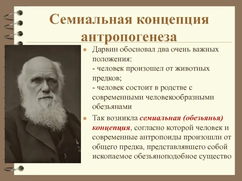 Теория дарвина тест. Симиальная теория ч. Дарвина. Симиальная теория антропогенеза. Происхождение человека по Дарвину. Эволюционная концепция антропогенеза.