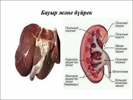 Фотосуреттер порно секс жиһаз