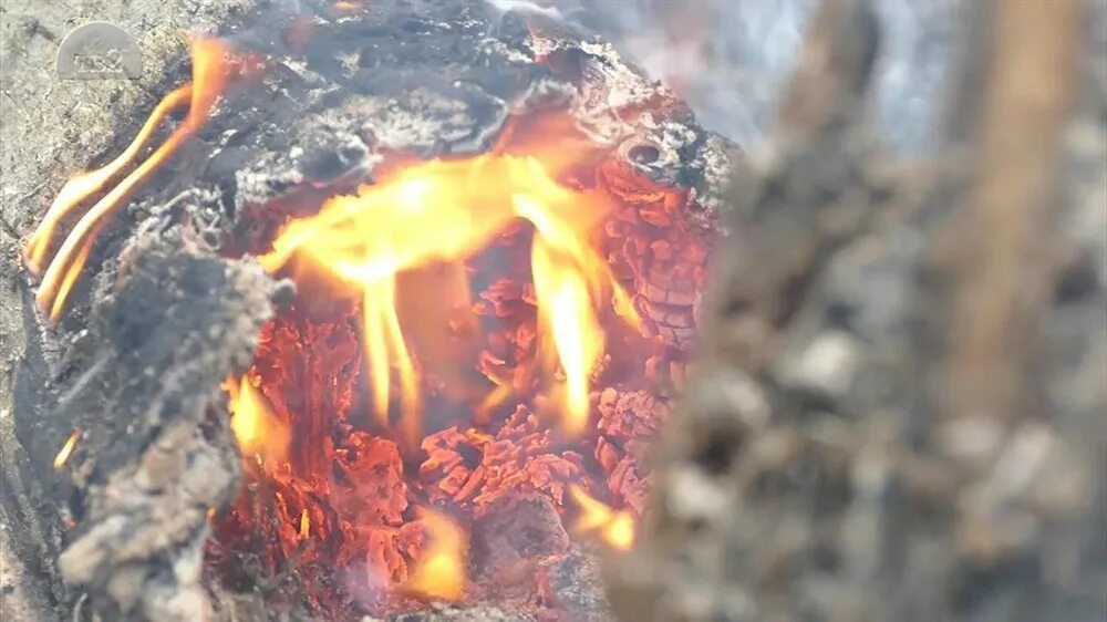 Хромой вулкан разводит огонь. Разведи огонь доп 2. Штрафы за разведение огня 2023. Горит огонь минус