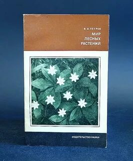 Мир лесных растений