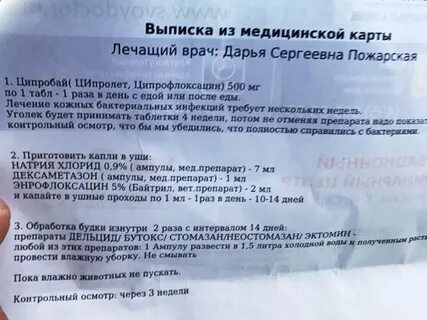 Ципрофлоксацин таблетки до еды или после