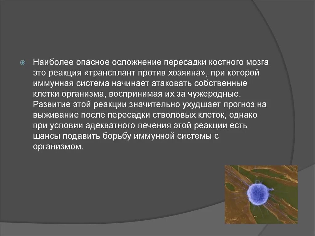 Трансплантация костного мозга Клин рекомендации. Осложнения после трансплантации костного мозга. После трансплантации костного мозга. Гаплоидентичная трансплантация костного мозга.