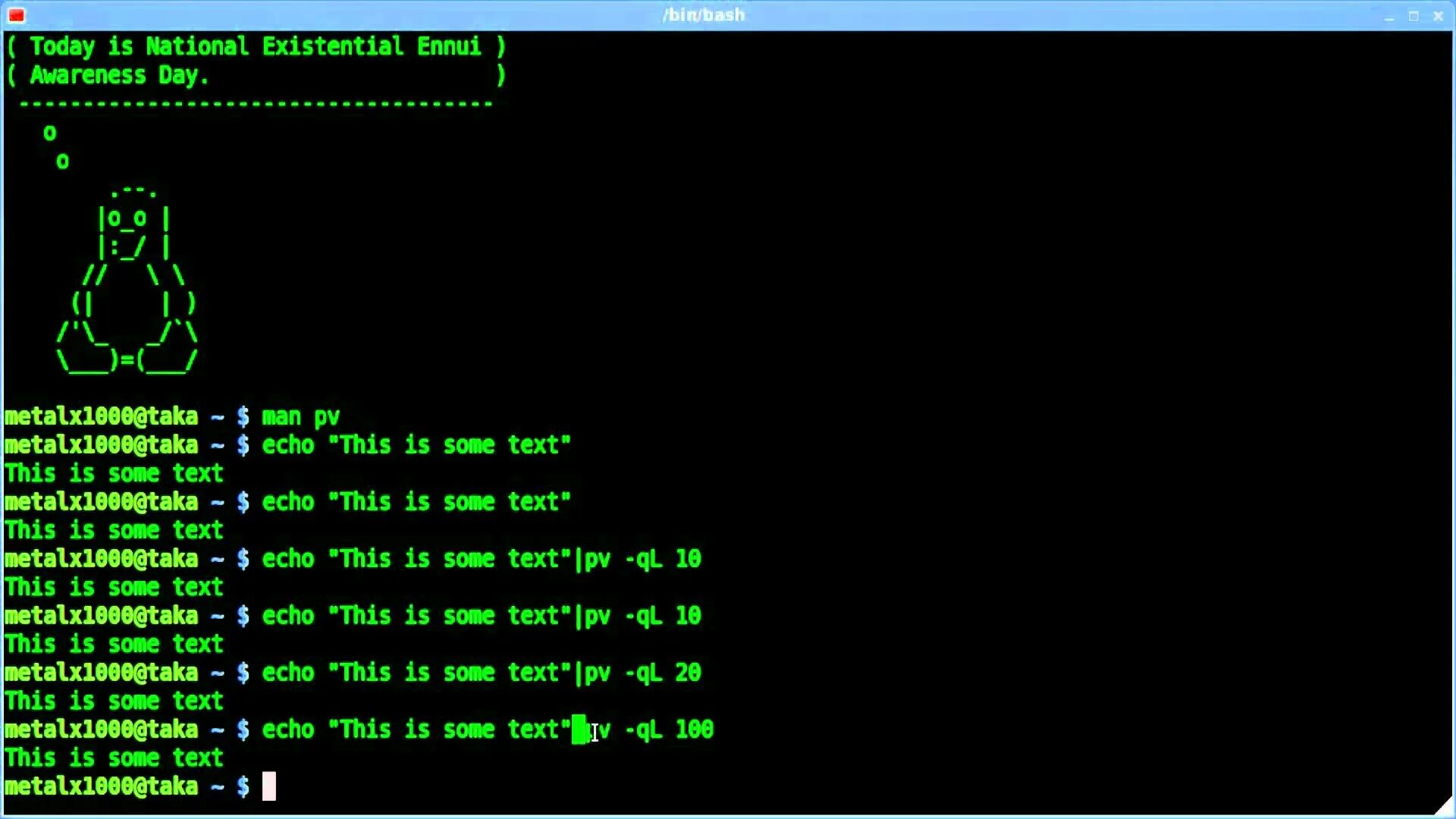 Bash result. Командная оболочка linux. bash язык программирования. bash linux. командная оболочка bash.