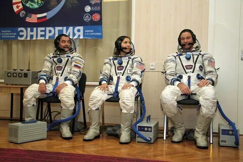 Сокол кв