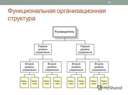 Организационно функциональная схема