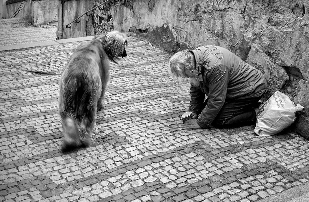 Без сострадания. Доброта и Милосердие. Сострадание это. Нищий фотограф. Картина доброта.