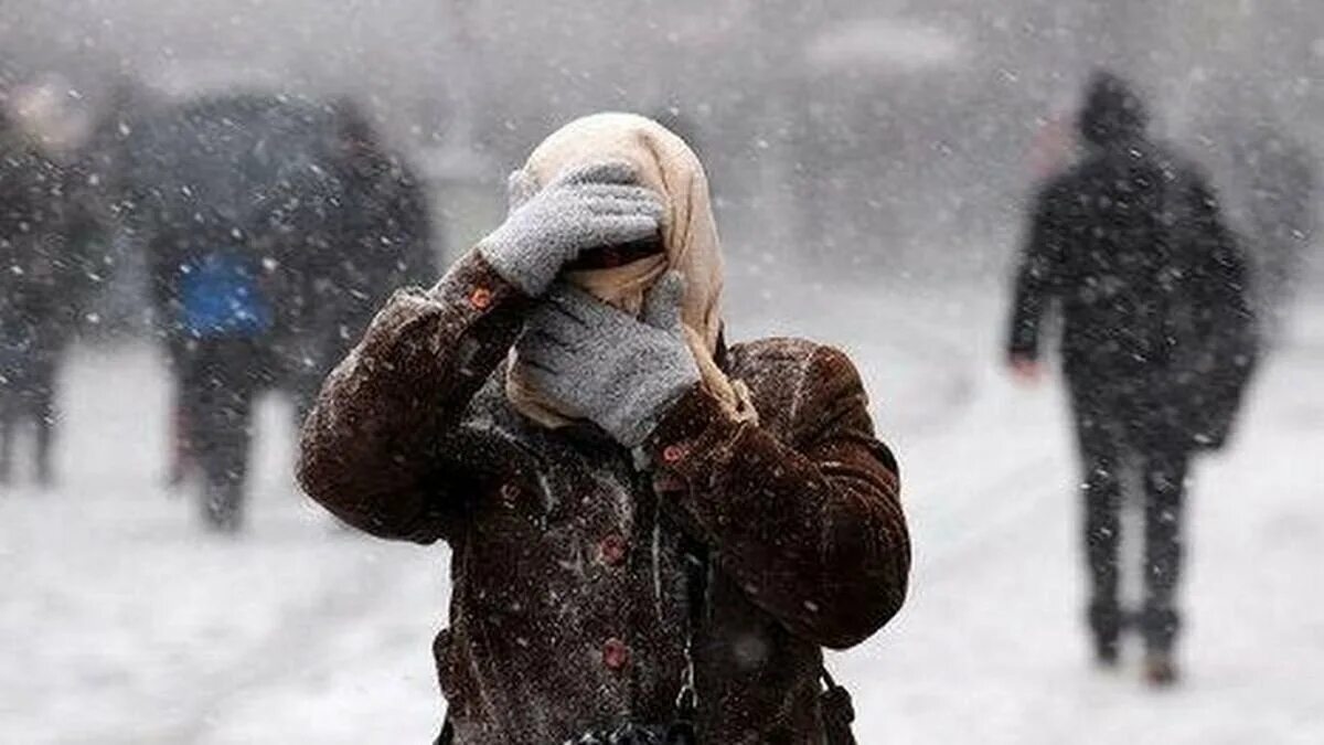 Метель. Зима сильный снег. Зима метель. Сильная метель.