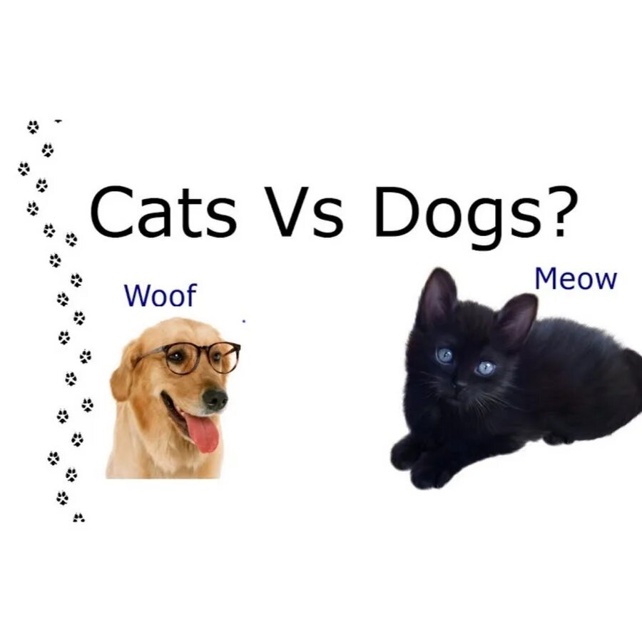 Dogs s names are. Dog vs. Cat. Кэт дог стори. Кошки or собаки. It's a Dog's Life!.