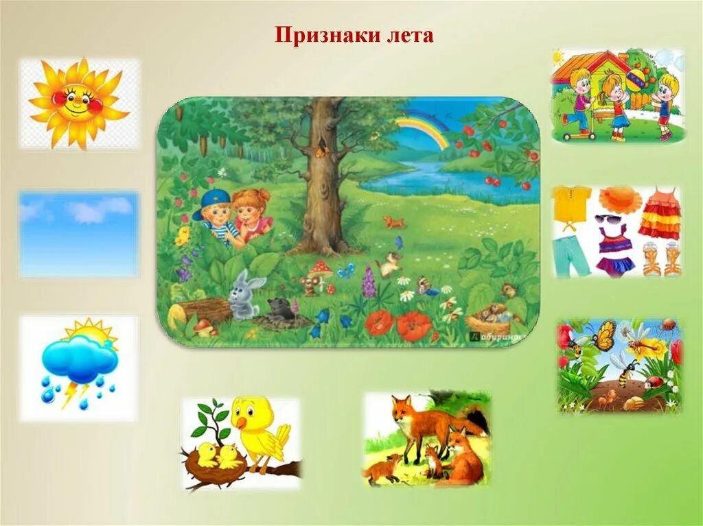 Признаки лета являются. Признаки лета. лето признаки лета. лето для дошкольников. признаки лета для детей.