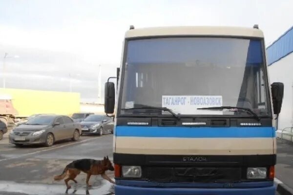 Такси новоазовск феникс. Пассажирские перевозки днр ростов. Таганрог новоазовск автобус. Староминская-тимашевская на карте. Автобус донецк.