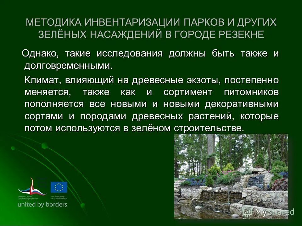 Защита зеленых насаждений. План инвентаризации насаждений. Таблица инвентаризации зеленых насаждений. План инвентаризации зеленых насаждений. Ведомость инвентаризации зеленых насаждений.