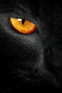 Black chat