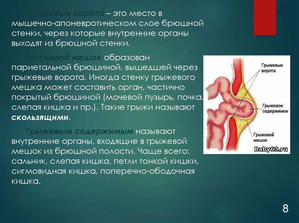 Ущемленная брюшной грыжа. Грыжевые ворота грыжевой мешок. Грыжевые ворота брюшной стенки. Грыжевые ворота грыжевой мешок грыжевое содержимое.