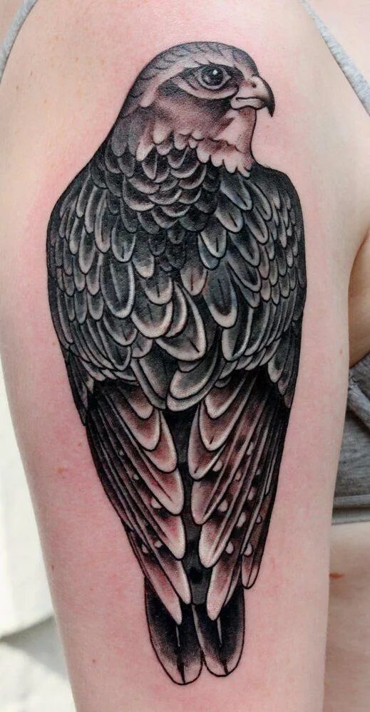 Славянский сокол тату. Тату сокол на плече. Тату сокол значение. Тату сокол. Тату орел.