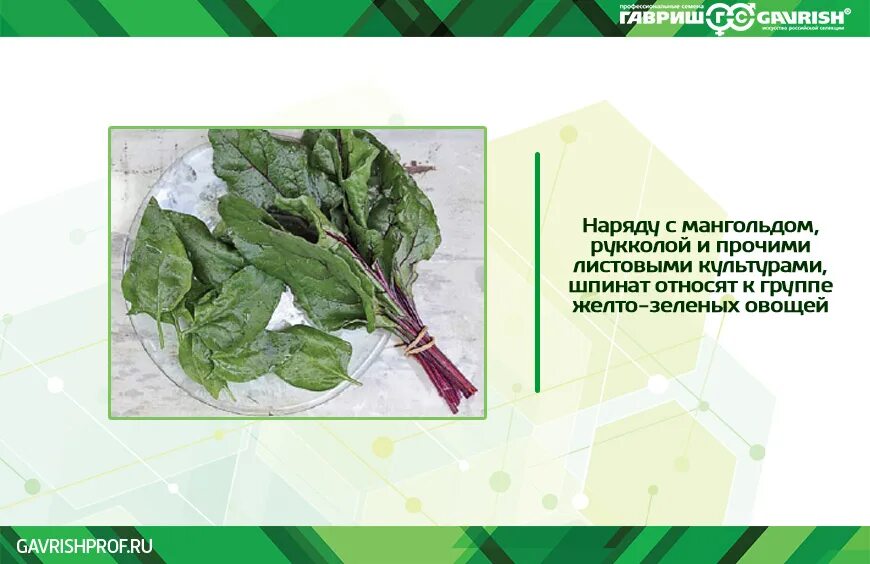 Полезные зеленые овощи. Как вы думаете почему зеленые овощи. Как вы думаете почему зеленые овощи. Как вы думаете почему зеленые овощи. Овощи зеленого цвета список.