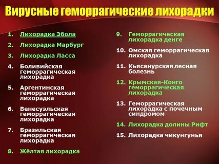 Геморрагическая лихорадка инфекция