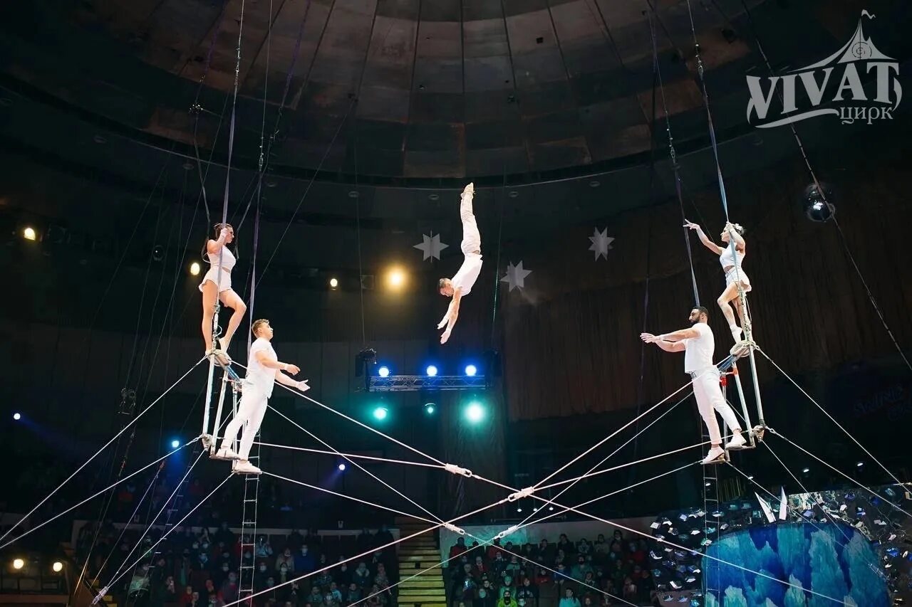Цирк тамбов афиша. Цирк в калининграде 2022. Цирк виват артисты шапито. Цирк виват котлас. Цирк vivat великий новгород.