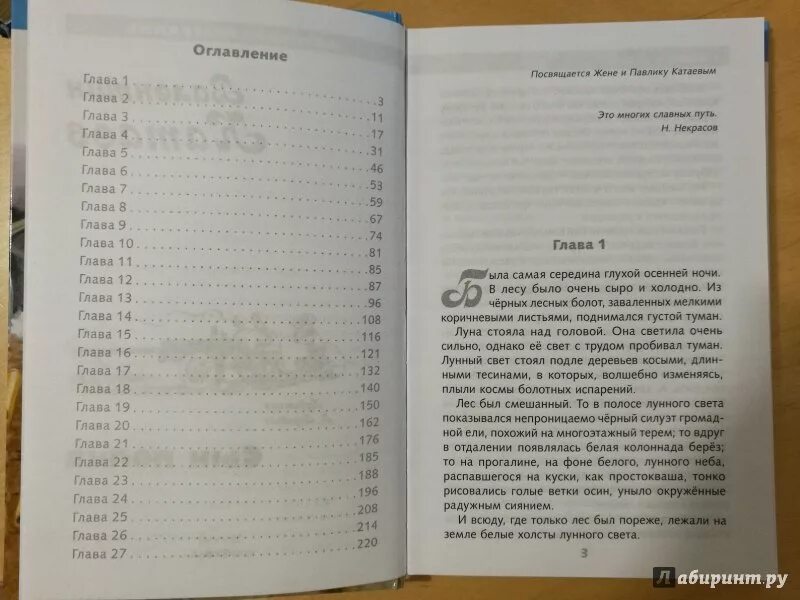 Рассказы для 3 класса внеклассное чтение список литературы. Сказка о потерянном времени оглавление. Сколько стр в книге. Сколько страниц в книге. Осеева синие листья сколько страниц в рассказе.