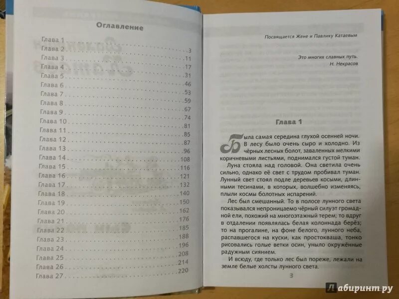 Сколько стр в книге