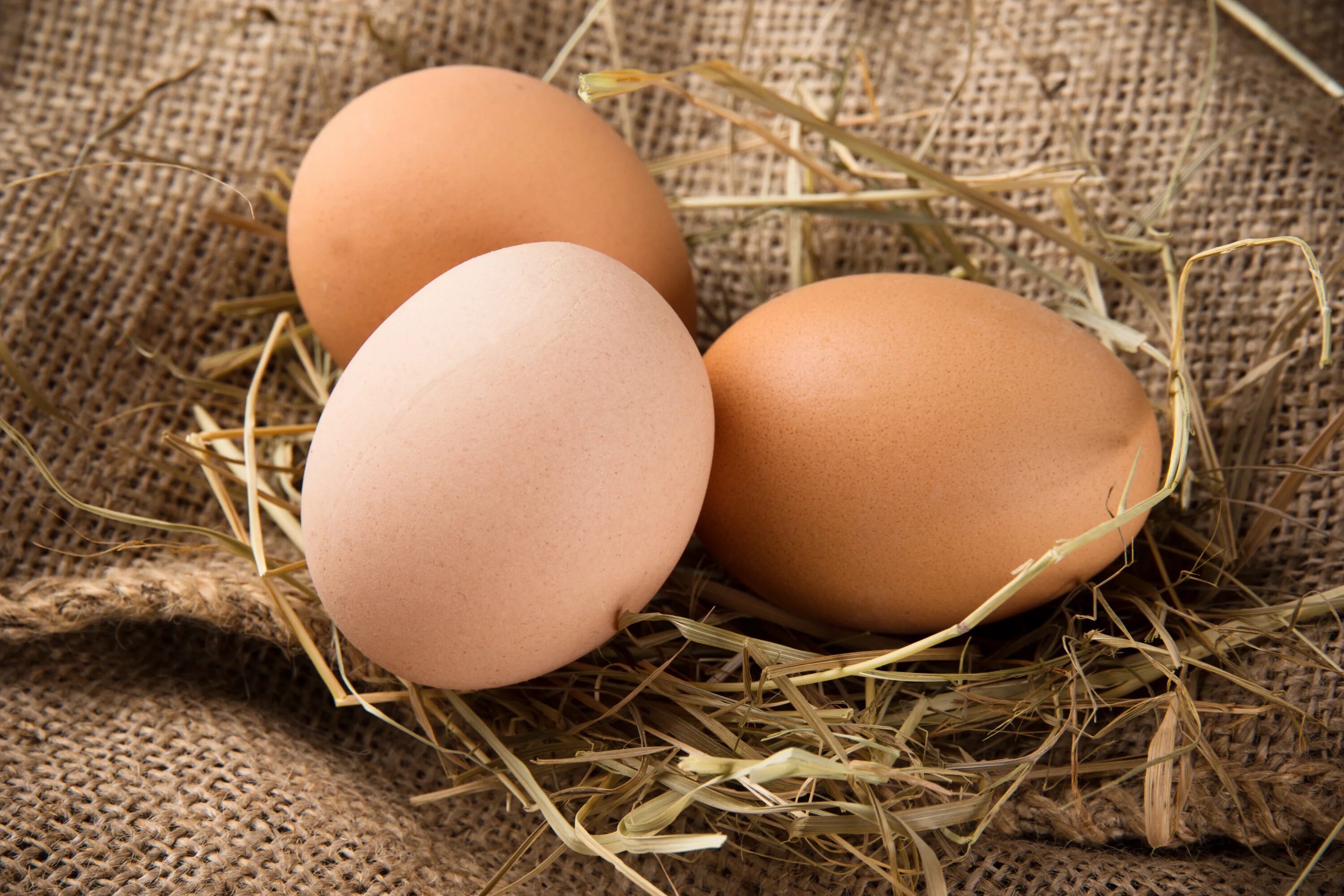 Третье яичко. Три куриных яйца. Яйцо фермерское красиво. Три яйца фото. Картинка 3 яйца.