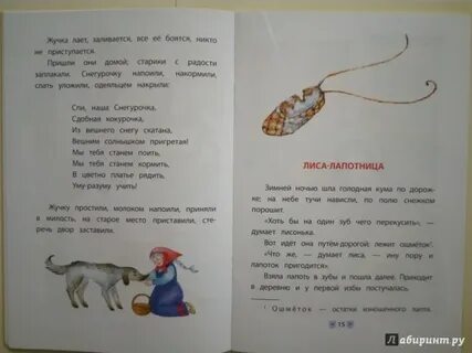 Про жучка