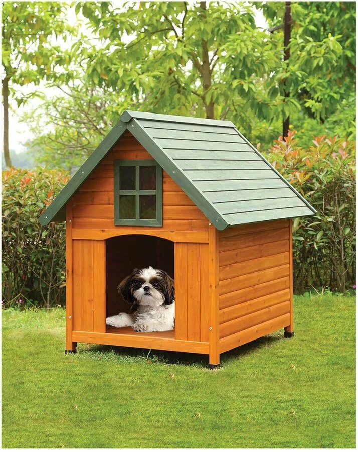 New dog house. Будка догс. Собачья конура. Конура Бутка для собак. Собака с конурой.