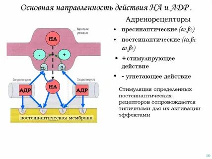 Вне основной