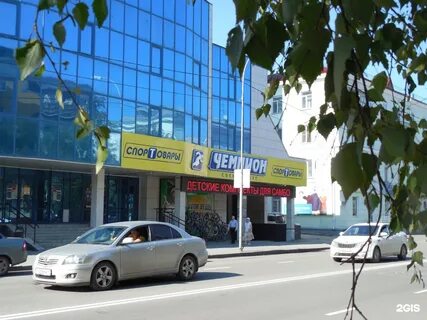 Гоголя 109 курган