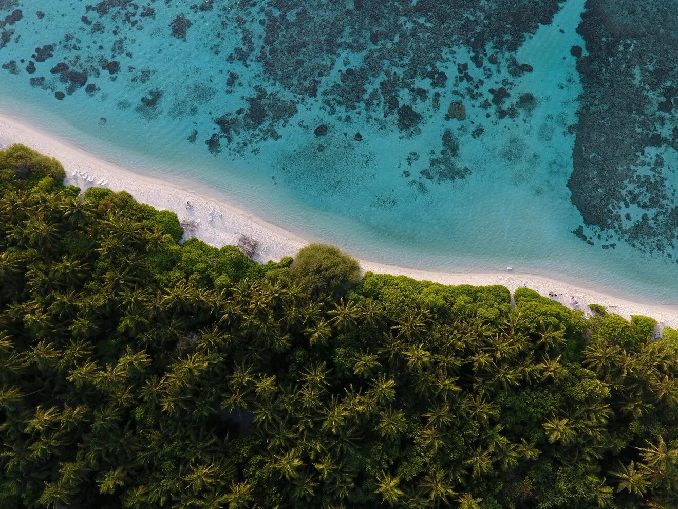 Тинаду остров Мальдивы. Thinadhoo Мальдивы. Мальдивы остров Тинаду Plumeria. Plumeria Maldives Мальдивы, Вааву Атолл. Ваав