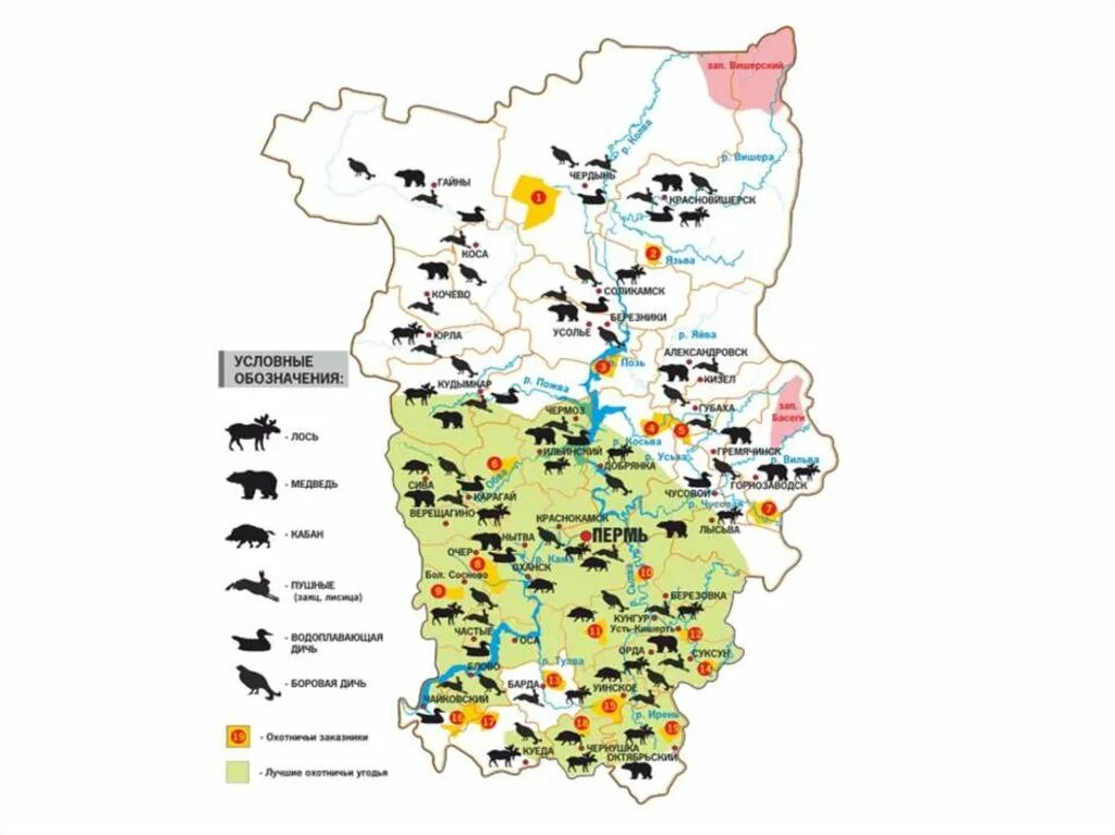 Какие ископаемые в пермском крае. Карта животных Пермского края. Пермский край животный мир карта. Животные Пермского края на карте. Карта для охоты Пермский край.