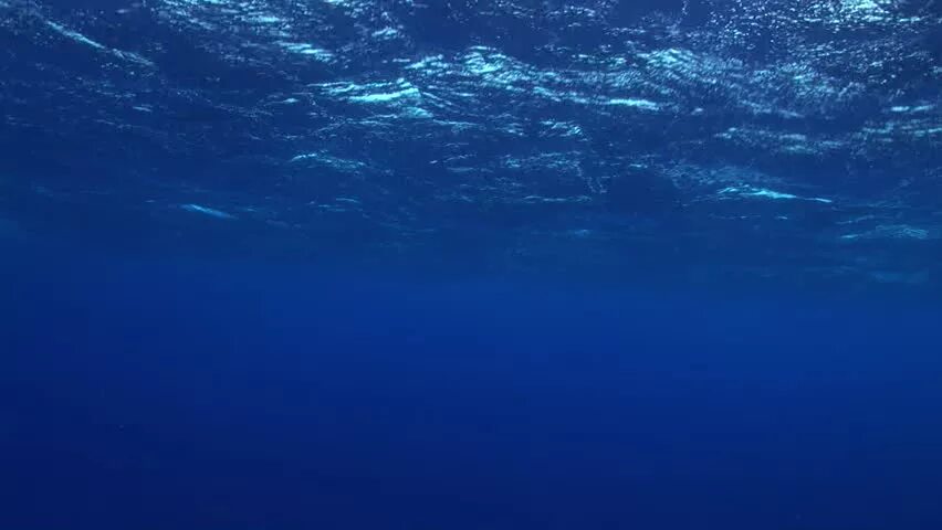 Open ocean. Мод на текстуры в майнкрафт 1. Футболка open ocean. 2. Open ocean.