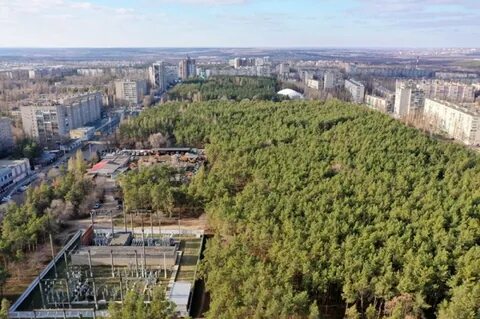 Парк танаис воронеж