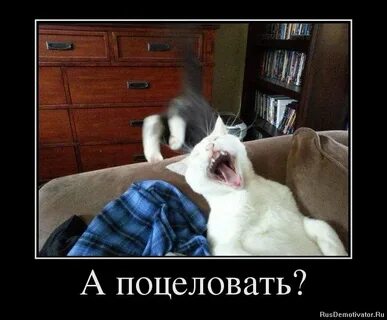 Ну поцеловать