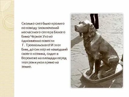 Произведения героями были собака