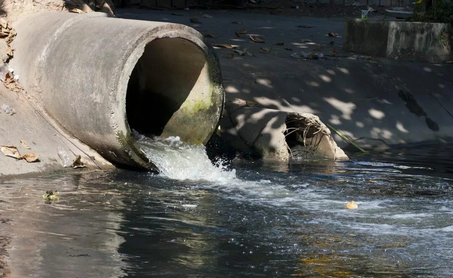 Неочищенные стоки. Сточные воды Ярославль Волга. Загрязнение водоемов Краснодарского края. Завод загрязняет реку. Канализационные стоки.