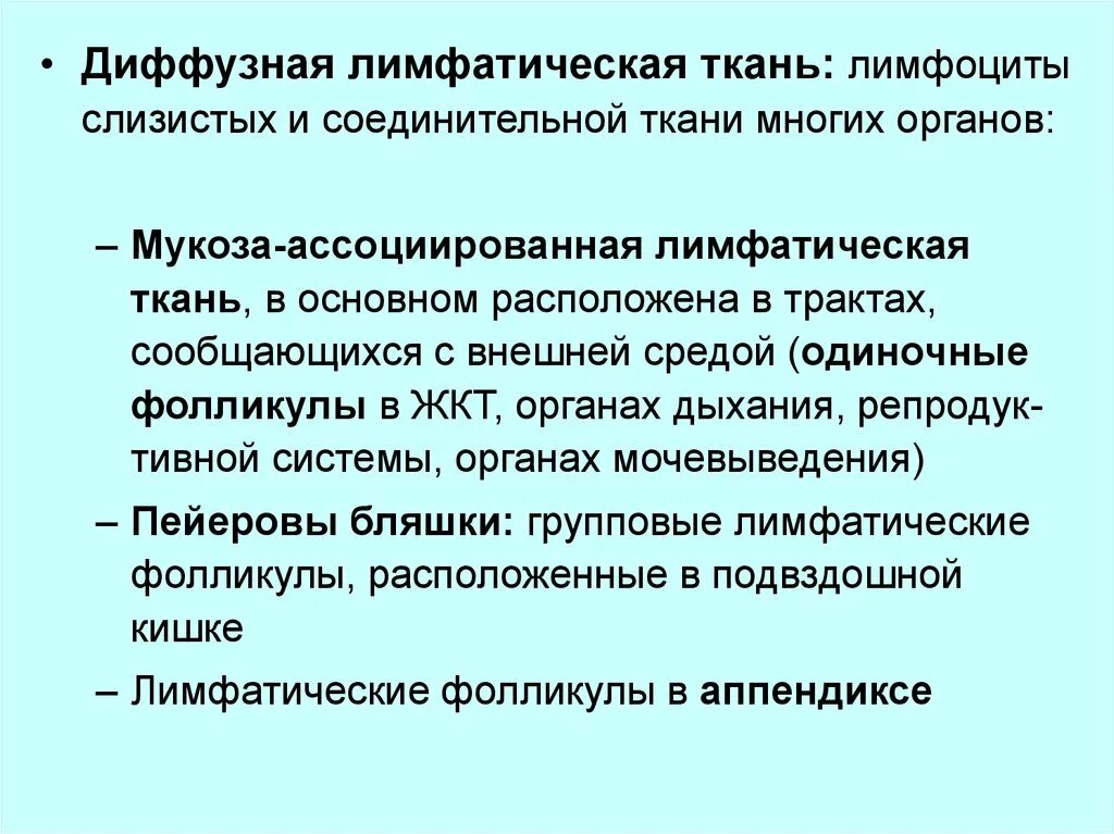 Диффузная функция. Диффузная лимфатическая ткань. Функции лимфоидной ткани. Лимфоидная ткань функции. Лимфатическая ткань функции.