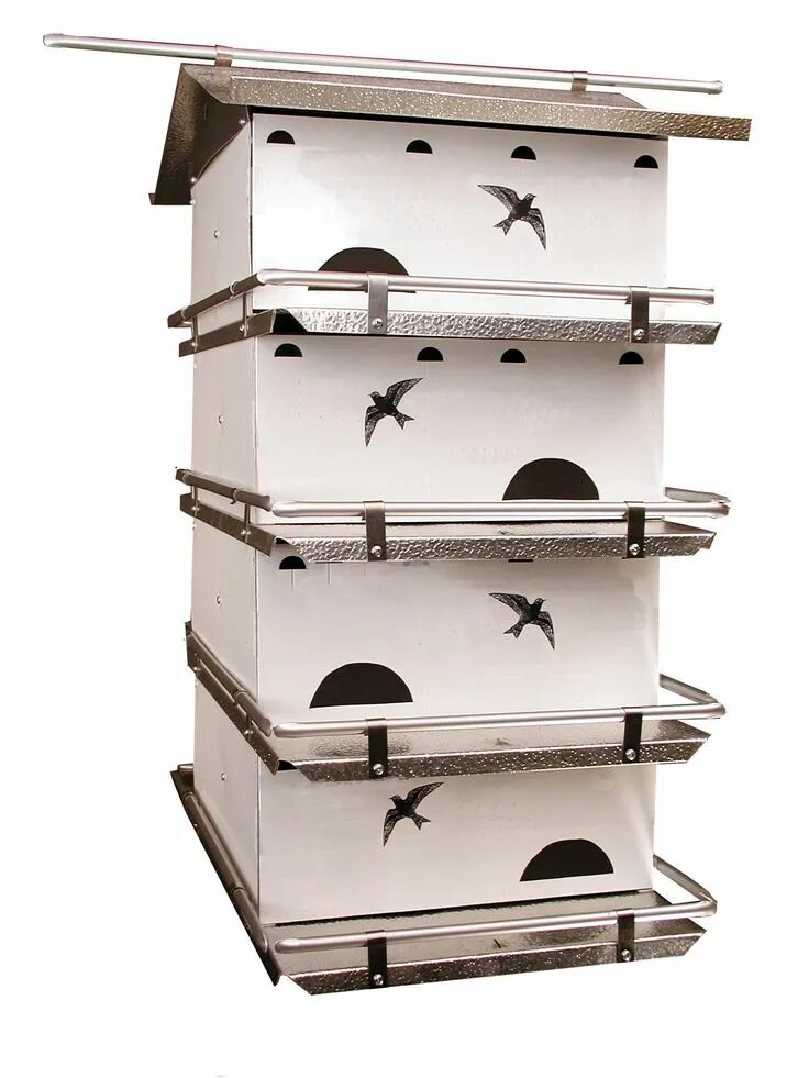 Store birds. Martin Bird. Bird in the House. Wild Birds House. House Martin Bird drawing.