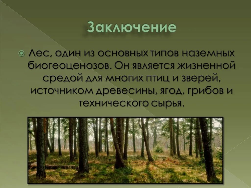 Деградация растительных сообществ. Экосистема лес. Биогеоценоз. Лес для презентации. Биогеоценозе.