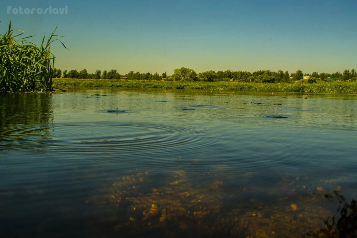 остёр рославльский район река. река остер смоленской области. река остёр в рославле. река остер смоленская область.